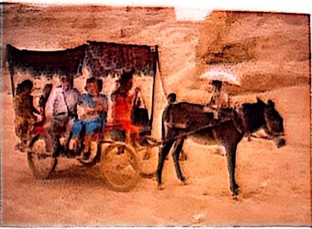 The Chows, taken in the Ancient City of Gaochang, Xinjiang in 2004